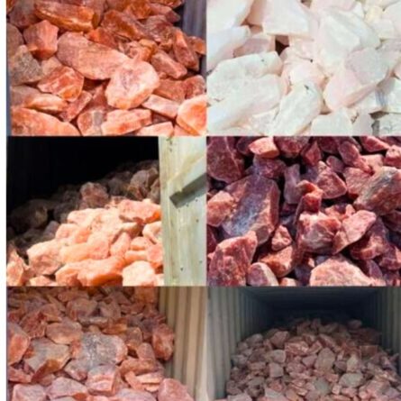 Animal Salt Lick - Image 1