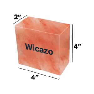 Himalayan Pink Salt Brick – 4" x 4" x 2" (Premium Construction & Decor Grade)