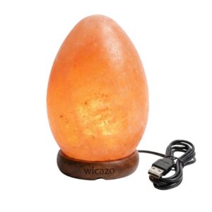 Wicazo Egg-Shaped Himalayan Salt Lamp - USB Powered, Warm Glow & Air Purifying