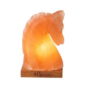 Horse Head Himalayan Salt Lamp