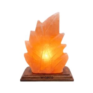 Flame Shaped Himalayan Salt Lamp with Wooden Base